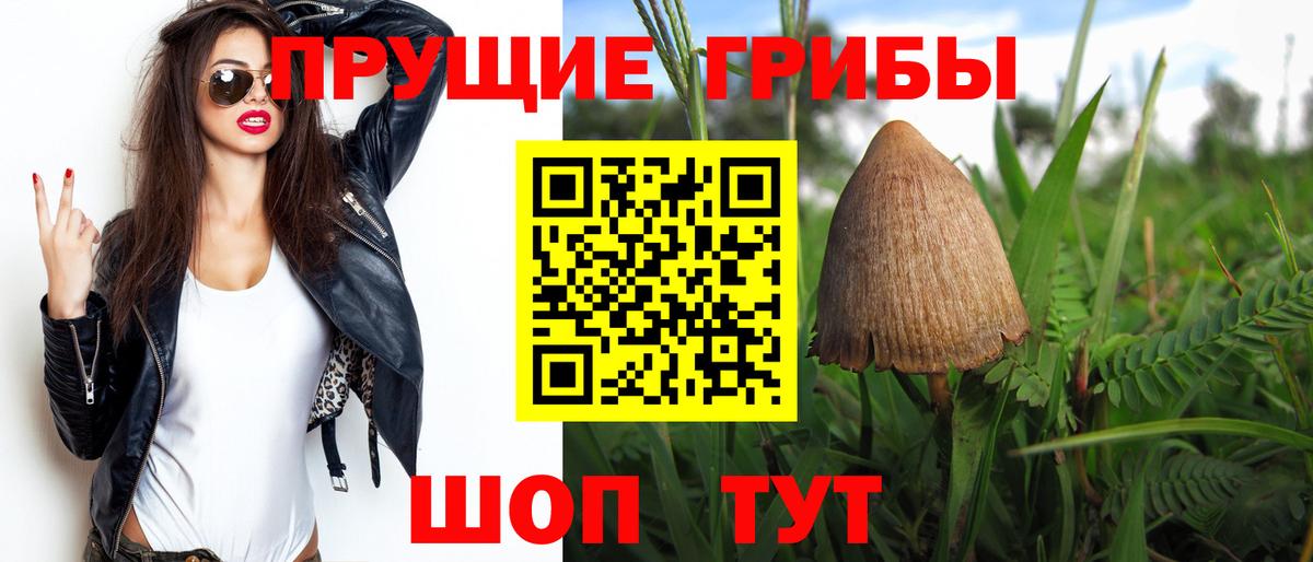 Вичуга  Галлюциногенные грибы Psilocybine cubensis  Псилоцибиновые грибы Cubensis  Вход с VPN 